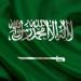 السعودية ترحب بتبنّي مجلس الأمن قرارا للوقف الفوري لإطلاق النار في غزة بالبلدي | BeLBaLaDy