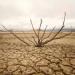 بالبلدي : الأمم المتحدة تحتفل بـ اليوم العالمي لمكافحة التصحر والجفاف