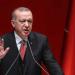 أردوغان:
      سنواصل
      العمل
      مع
      الدول
      الشقيقة
      لإرساء
      أمن
      واستقرار
      المنطقة