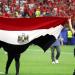 بالبلدي: منها تشكيل لجنة لتجديد عقد حسام حسن.. اتحاد الكرة المصري يصدر 6 قرارات