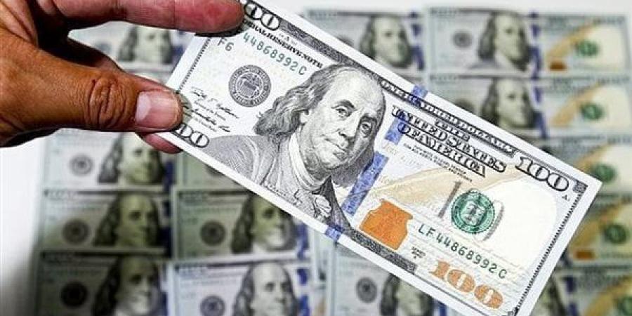 بالبلدي: ولسه | ضربة قوية لتجار الدولار في السوق الموازية belbalady.net