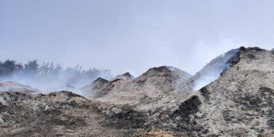 بالبلدي: نيران مشتعلة من 4 أيام.. حريق مزرعة الإسماعيلية لسه شغال "فيديو وصور"