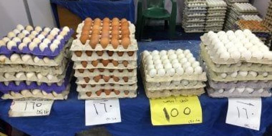 بالبلدي: معرض أهلا رمضان بالعمرانية يطرح كرتونة بيض المائدة بـ155 جنيها