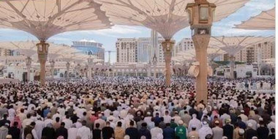 بالبلدي: 258 ألف ساعة تطوعية بالمسجد النبوى فى النصف الأول من شهر رمضان