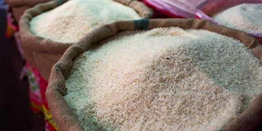 بالبلدي: سعر الأرز الشعير اليوم الأحد 7-4-2024 داخل الأسواق ومنافذ التموين
