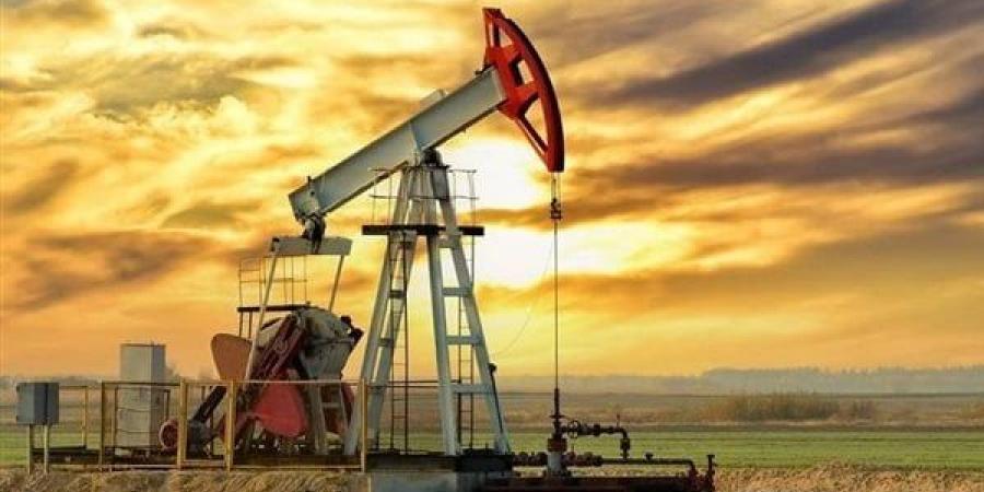 بالبلدي: مخزونات النفط الأمريكية تسجل زيادة كبيرة بأكثر من 2.7 مليون برميل belbalady.net
