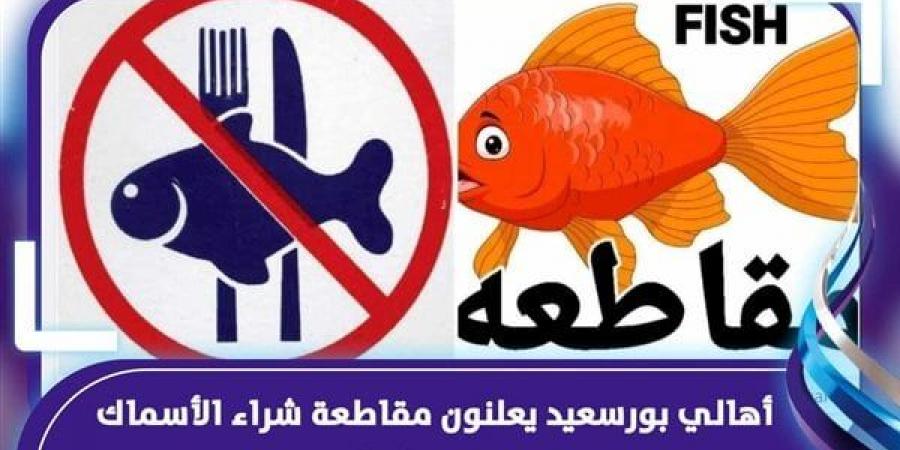 بالبلدي: لمدة أسبوع .. سر مقاطعة البورسعيدية للأسماك belbalady.net