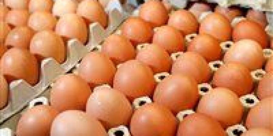 بالبلدي : شعبة المواد الغذائية: انخفاض ملحوظ في أسعار بيض المائدة