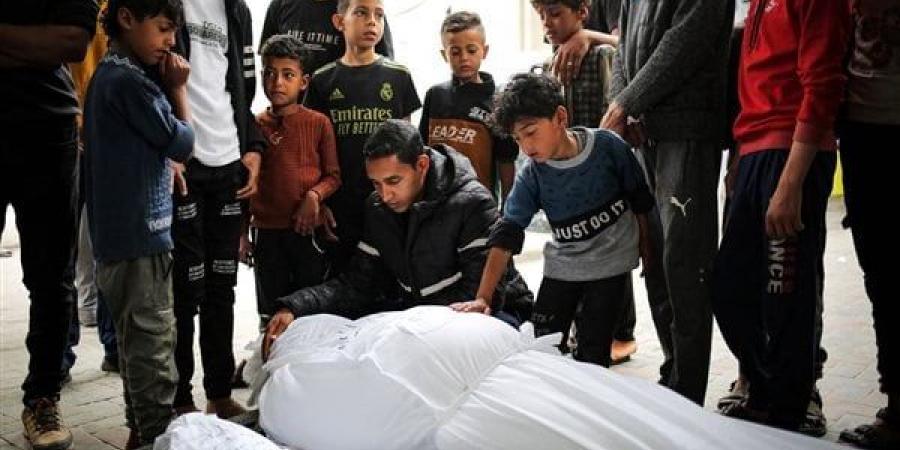بالبلدي: الحرب على غزة.. 19 شهيدا في غارات جوية للاحتلال على رفح belbalady.net