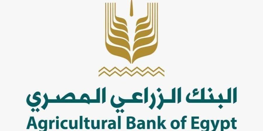 بالبلدي : البنك الزراعي يُتيح تيسيرات متعددة للمزارعين والموردين لتوريد محصول القمح في أكثر من 190 موقع