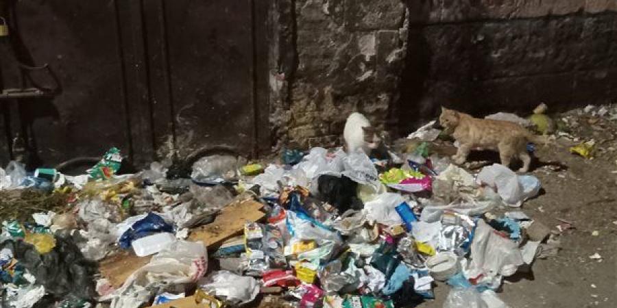 بالبلدي: القمامة والأدخنة تحاصر مستشفى زكي عابدين ومركز غسيل الكلى ببني سويف belbalady.net