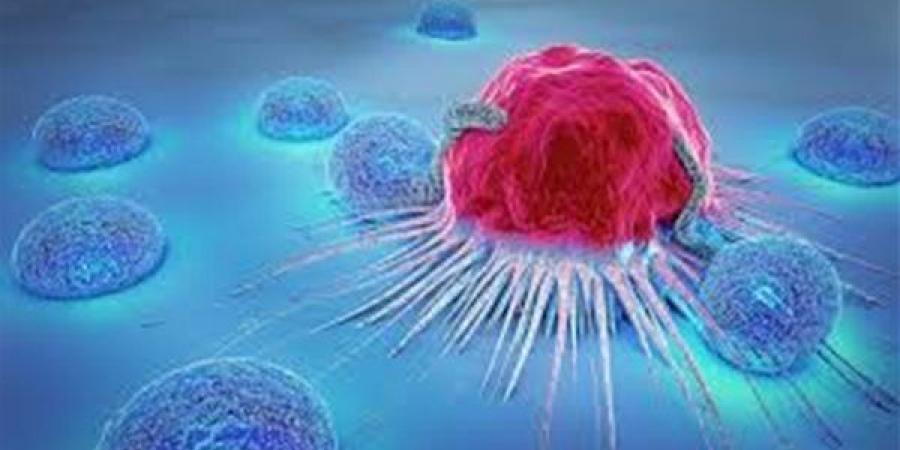 بالبلدي : الكشف عن أساليب جديدة للسرطان للهروب من الخلايا المناعية