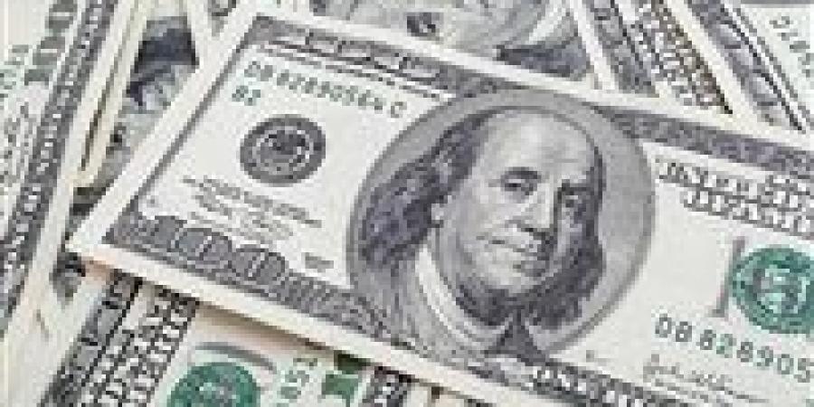 بالبلدي: أسعار الدولار مقابل الجنيه المصري اليوم الجمعة 14 يونيو 2024