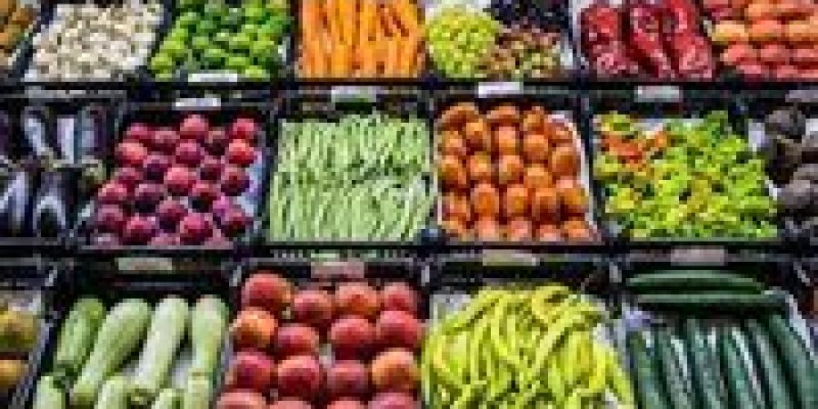 بالبلدي: أسعار الخضروات اليوم الثلاثاء 18-6-2024 في قنا