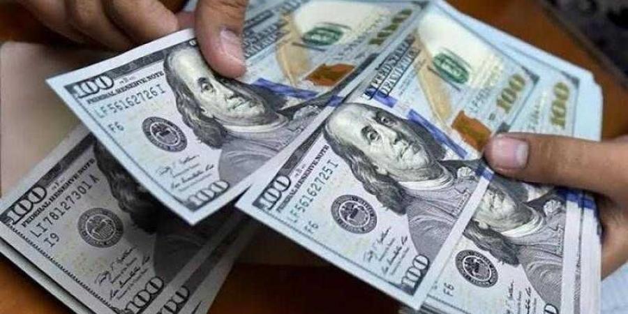 بالبلدي : أسعار الدولار في مصر اليوم الإثنين