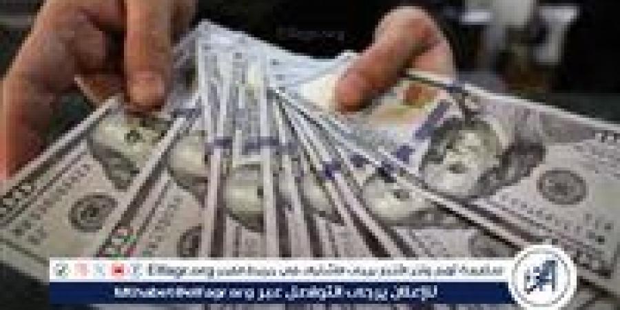 بالبلدي: استقرار سعر الدولار مقابل الجنيه المصري في البنوك اليوم
