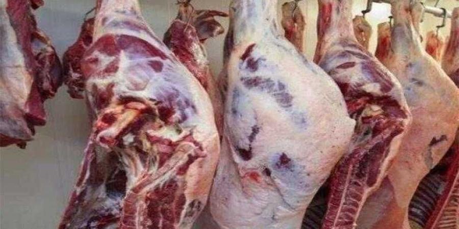 بالبلدي : أسعار
      اللحوم
      الحمراء
      اليوم
      الاربعاء