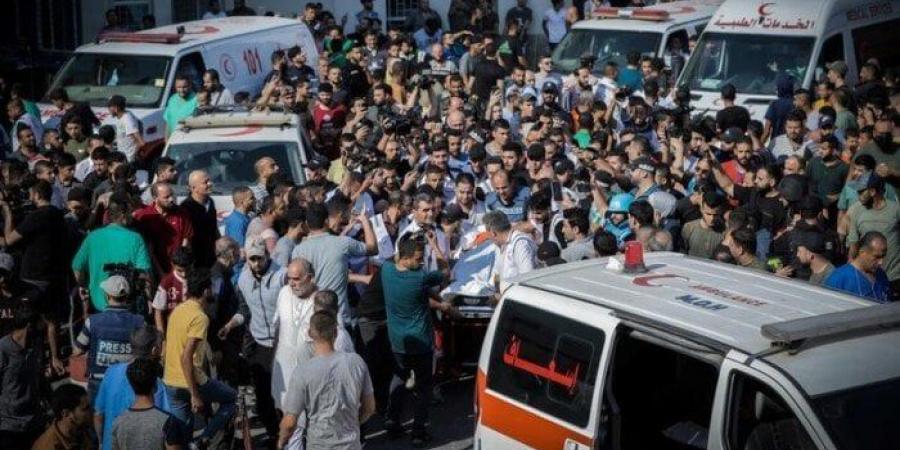 بالبلدي: 20
      شهيدا
      في
      استهداف
      الاحتلال
      "المجوعين"
      والنازحين