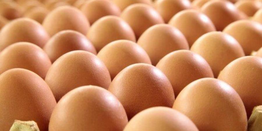 بالبلدي: سعر
      كرتونة
      البيض
      اليوم
      الجمعة
      4-7-2025..
      الأبيض
      بكام
      النهارده؟