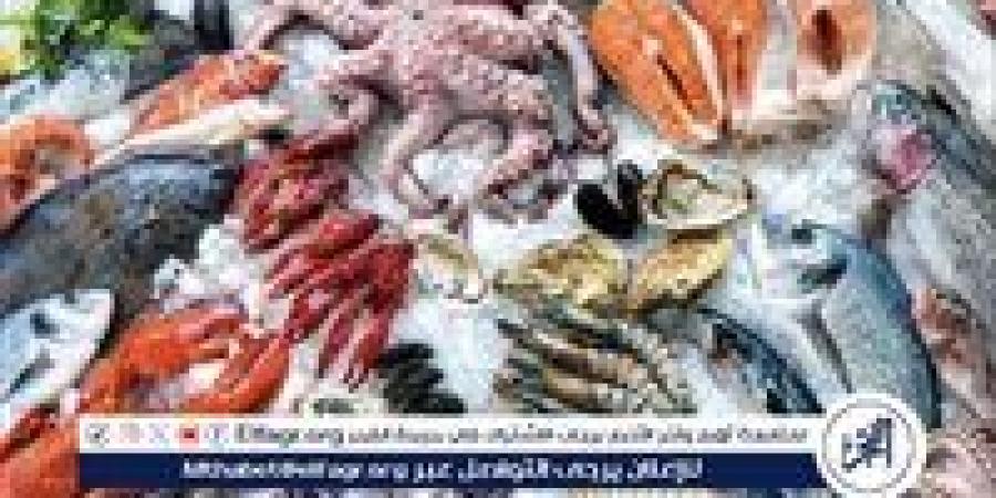 بالبلدي: أسعار
      المأكولات
      البحرية
      والجمبري
      اليوم
      الجمعة
      4-7
      في
      محافظة
      الدقهلية