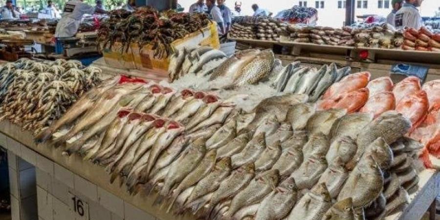 بالبلدي: أسعار
      الأسماك
      والجمبري
      اليوم
      السبت
      5
      يوليو
      2025..
      البوري
      بـ
      120
      جنيهًا