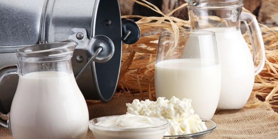 بالبلدي : أيهما أفضل حليب: حليب البقر أم الماعز أم الجمل أم الجاموس؟