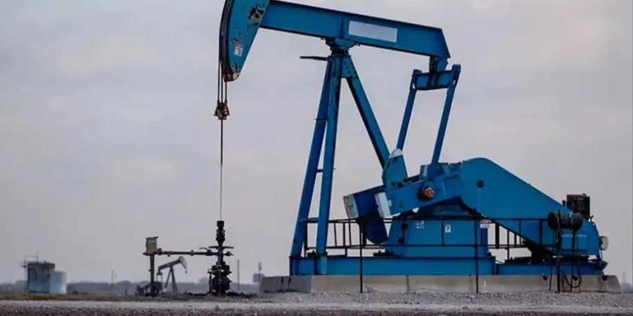 ارتفاع
      أسعار
      النفط
      بعد
      تأجيل
      المحادثات
      بين
      أمريكا
      وإيران..
      والذهب
      يهبط
      2.4%