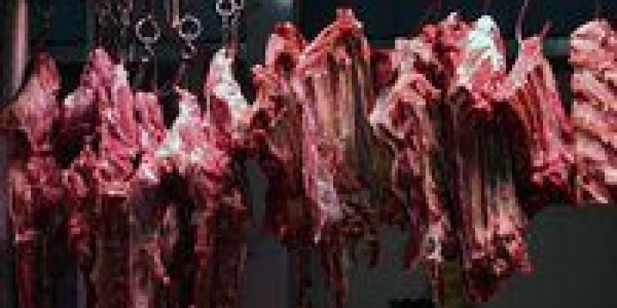 بالبلدي: أسعار
      اللحوم
      اليوم
      الثلاثاء
      23
      -
      6
      -
      2026
