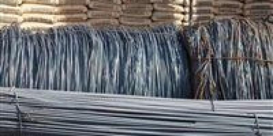 بالبلدي: أسعار
      الحديد
      والأسمنت
      اليوم
      الجمعة
      26
      -
      6
      -
      2026