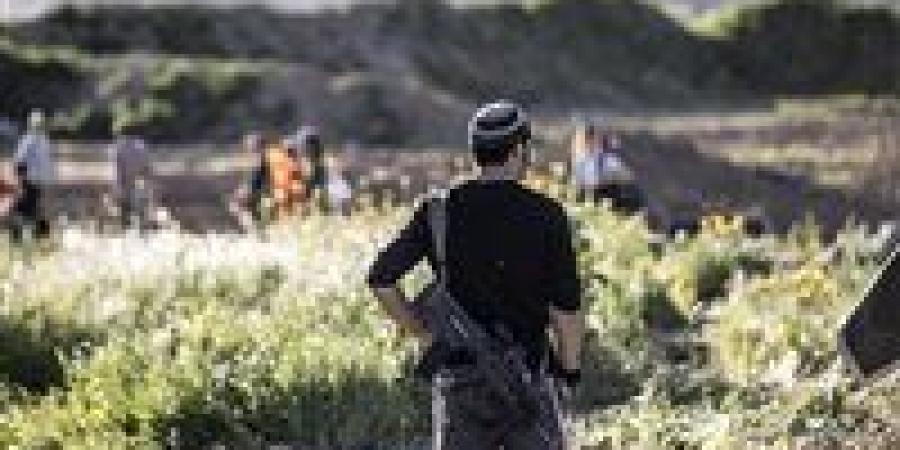 بالبلدي: مستوطنون
      يقتحمون
      قرية
      شمال
      شرق
      القدس
      المحتلة