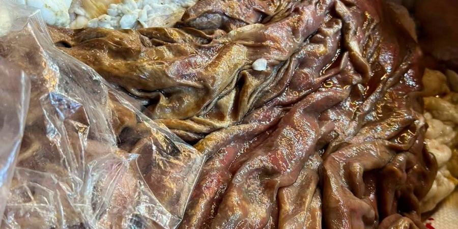 بالبلدي: بالصور..
      ضبط
      نصف
      طن
      مصنعات
      لحوم
      ودواجن
      مجهولة
      المصدر
      وفاسدة
      بقويسنا
