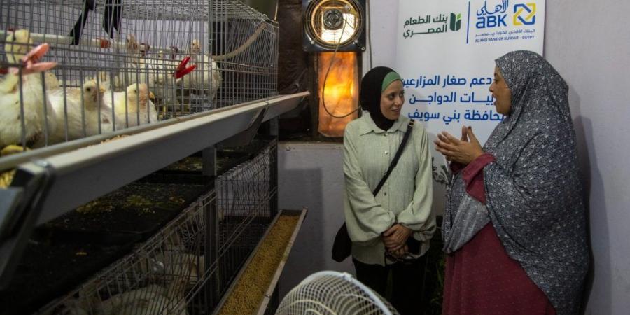 بالبلدي : البنك
      الأهلي
      الكويتي
      –
      مصر
      يعلن
      عن
      شراكة
      استراتيجية
      جديدة
      مع
      بنك
      الطعام
      المصري
      لدعم
      صغار
      المزارعين
      ومربيات
      الدواجن
      بمحافظة
      بني
      سويف