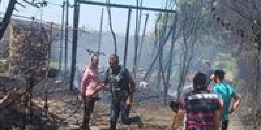 بالبلدي: السيطرة
      على
      حريق
      مخلفات
      بكفر
      بطا
      في
      بنها
