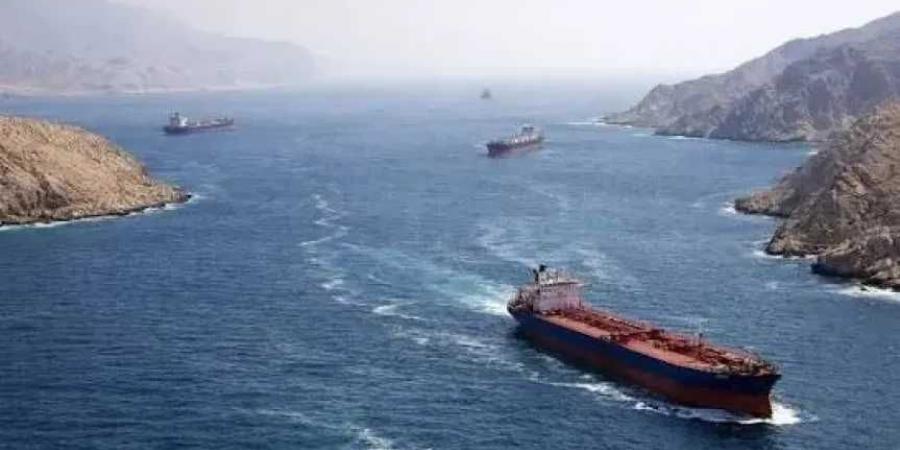 مصر
      والإمارات
      تؤكدان
      ضرورة
      حماية
      حرية
      الملاحة
      في
      مضيق
      هرمز