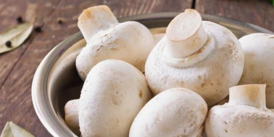 بالبلدي : ما هي فوائد فطر المشروم الأبيض وأضراره؟