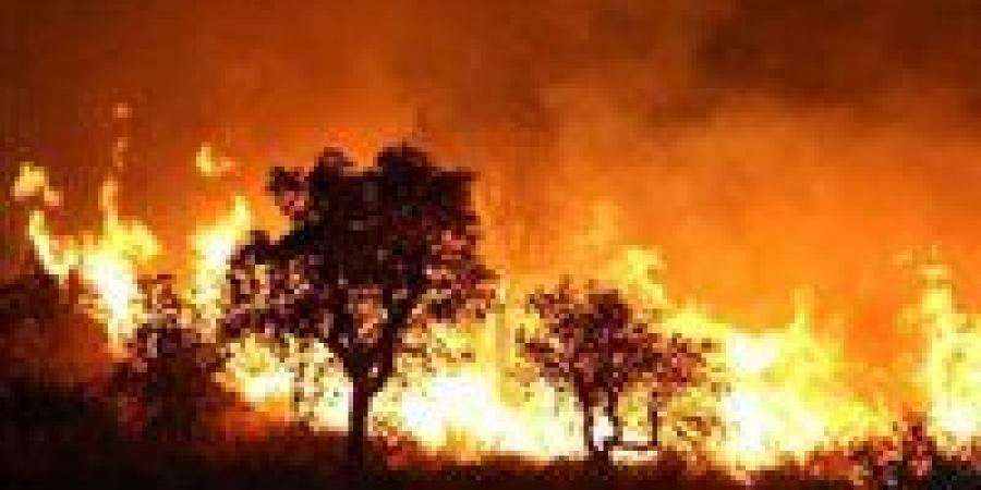 بالبلدي: ماكرون
      يوجه
      الجيش
      بالتعبئة
      لتقديم
      أقصى
      دعم
      للأمن
      المدني
      في
      مواجهة
      الحرائق