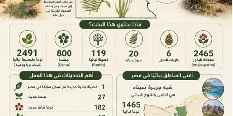 بالبلدي: جامعة
      القاهرة
      تعيد
      رسم
      خريطة
      النباتات
      المصرية
      بإنجاز
      علمي
      عالمي