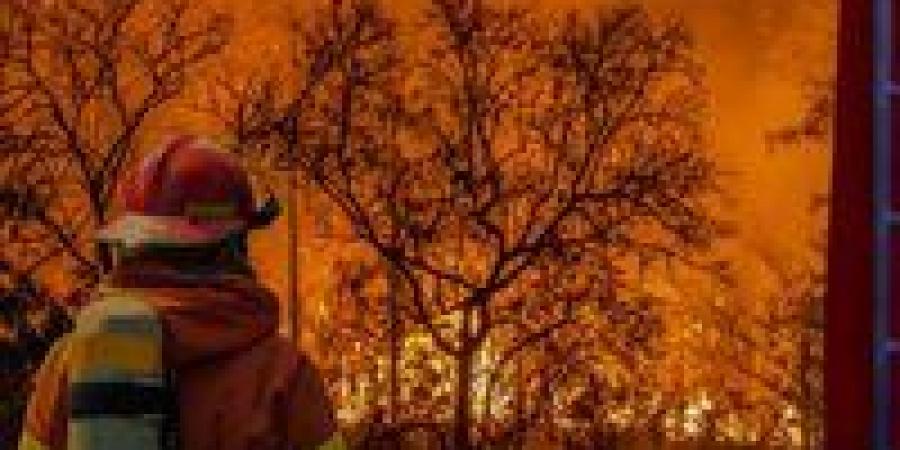 بالبلدي: فرق
      الإطفاء
      السويدية
      تكافح
      ضد
      حريق
      غابات
      هائل
      في
      بوردو
      بفرنسا