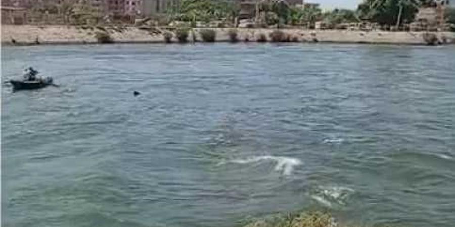 بعد
      مصرع
      طفلة
      بالقناطر
      الخيرية..
      النائب
      سمير
      البيومي
      يطالب
      الحكومة
      بخطة
      عاجلة
      لوقف
      تكرار
      حوادث
      الغرق