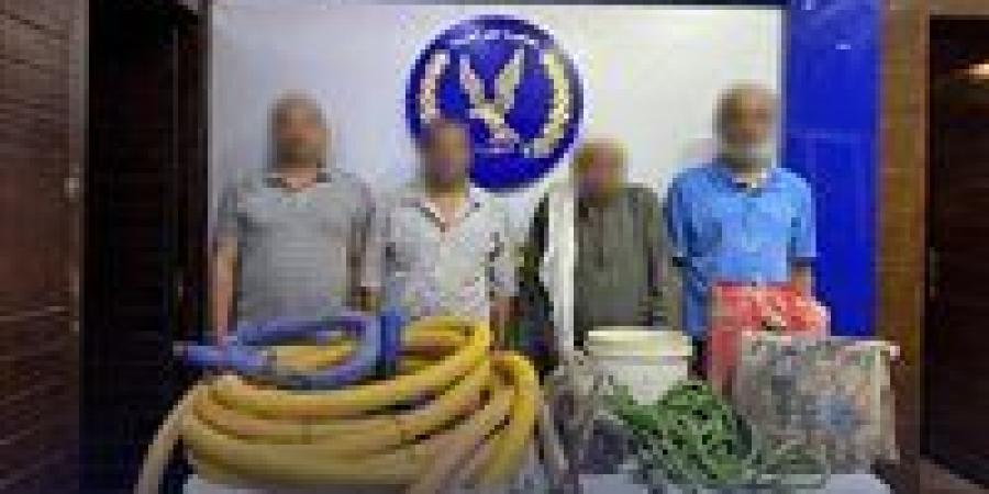 بالبلدي: عشاق
      الثراء
      السريع..
      ضبط
      4
      أشخاص
      أثناء
      التنقيب
      عن
      الآثار
      بالتبين