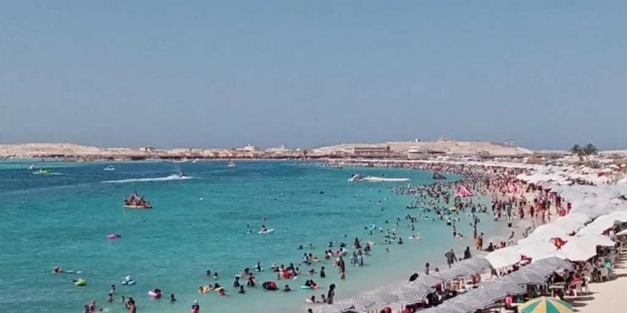 لليوم
      الرابع..
      استمرار
      غلق
      الشواطئ
      المفتوحة
      بمرسى
      مطروح
      بسبب
      ارتفاع
      الأمواج