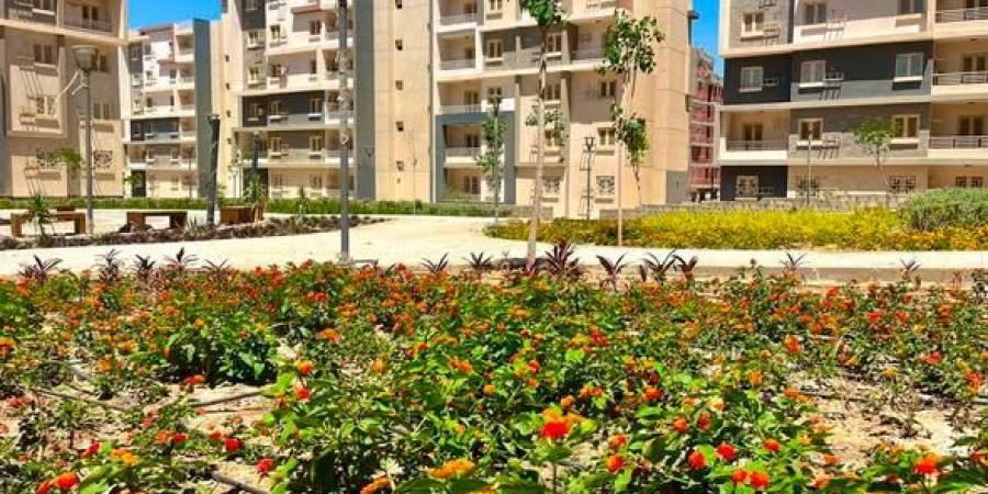 بالبلدي: وزيرة
      الإسكان
      تتابع
      تنفيذ
      مشروعات
      البنية
      الأساسية
      والإسكان
      بمدينتي
      حدائق
      أكتوبر
      و6
      أكتوبر
      الجديدة