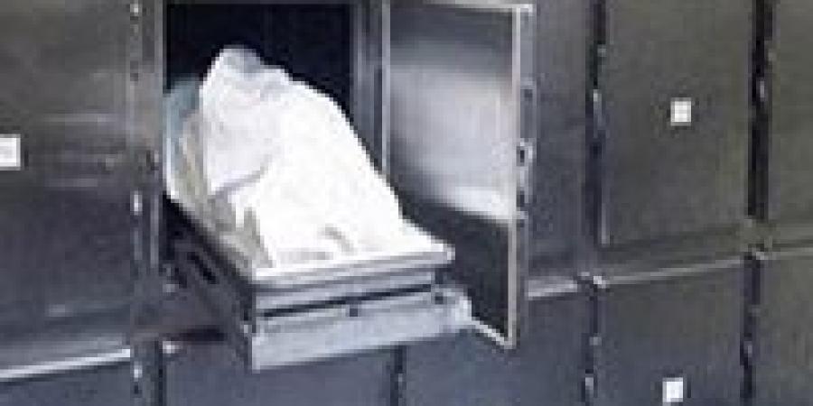 بالبلدي : مصرع
      عامل
      زراعي
      دهسًا
      بلودر
      داخل
      مزرعة
      في
      الوادي
      الجديد